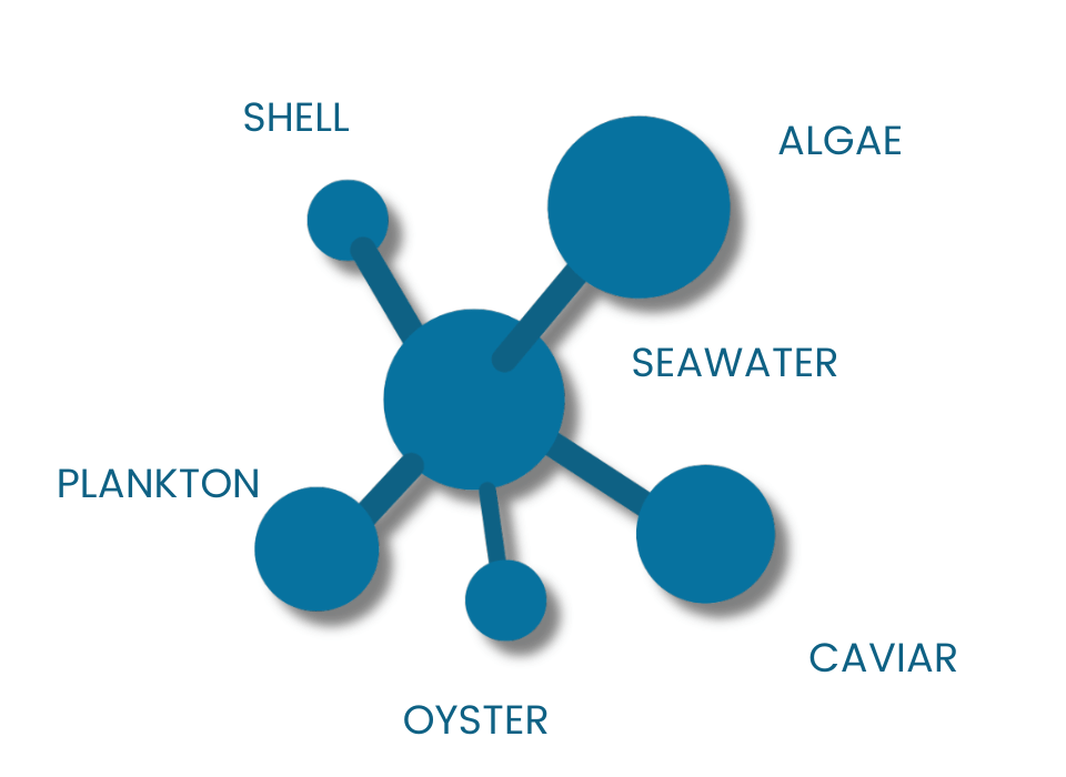 Celumer Marine Extract DALTON