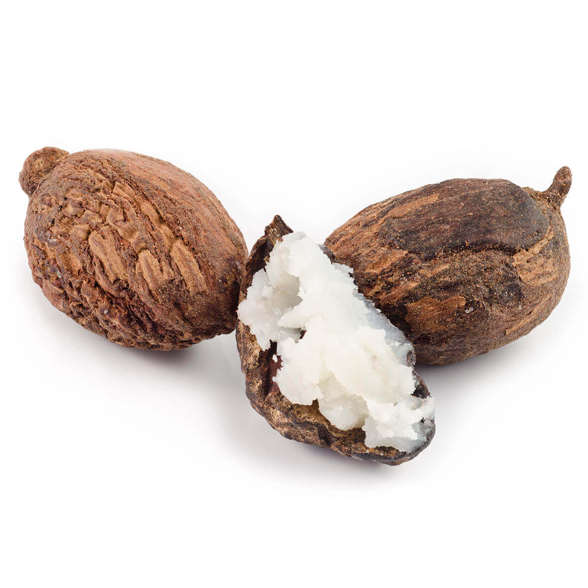 Wirkstoff sheabutter sheabutter