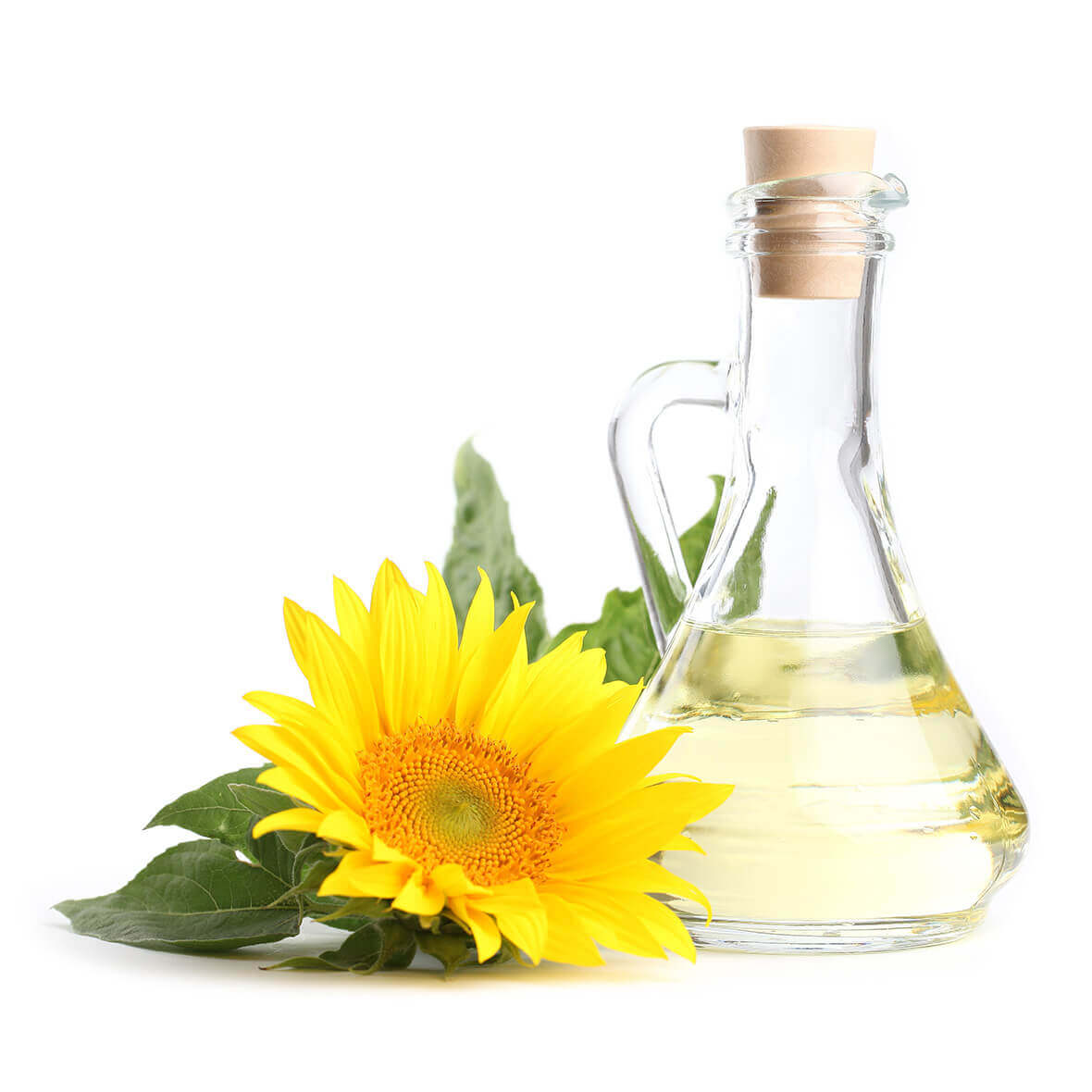 Wirkstoff sonnenblumenöl sonnenblumenöl