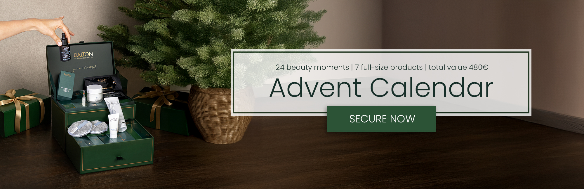Dalton Advent Calendar Advent Calendar - secure now