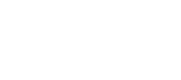 Vegan Collagen Matrix