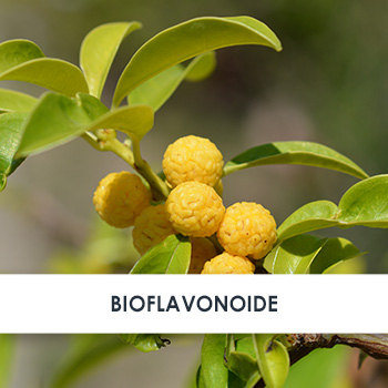 Wirkstoff Bioflavonoide