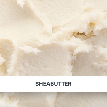 sheabutter Ã¼bersicht