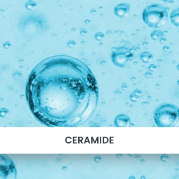 Wirkstoff Ceramide