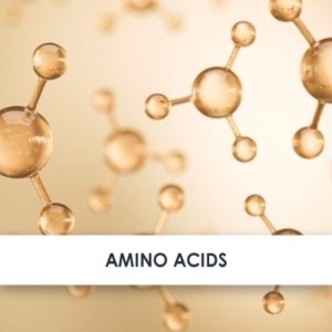 Amino acids Active Ingredient Amino acids