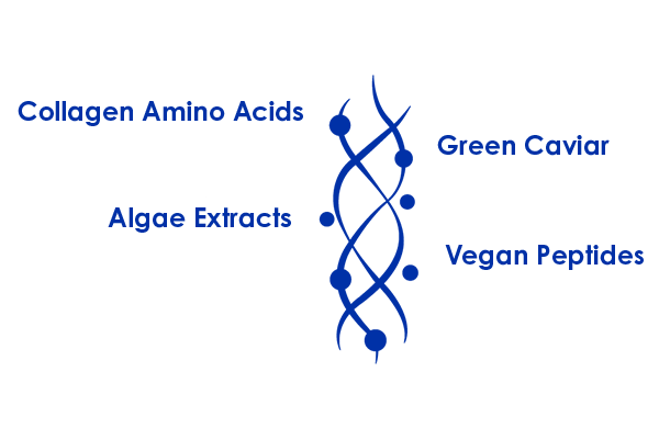 Ingredients of BLUE COLLAGEN 