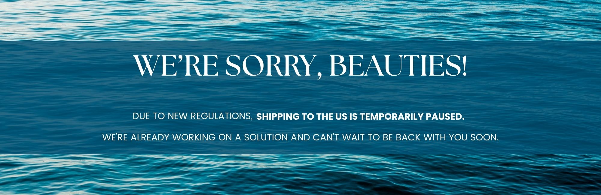 US Shipping paused Shipping temporarily paused